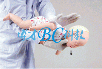 高級嬰兒氣道梗塞 CPR模型