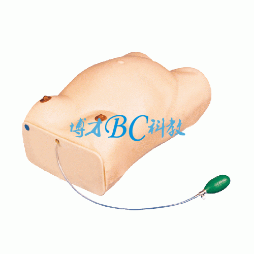 高級孕婦檢查模型