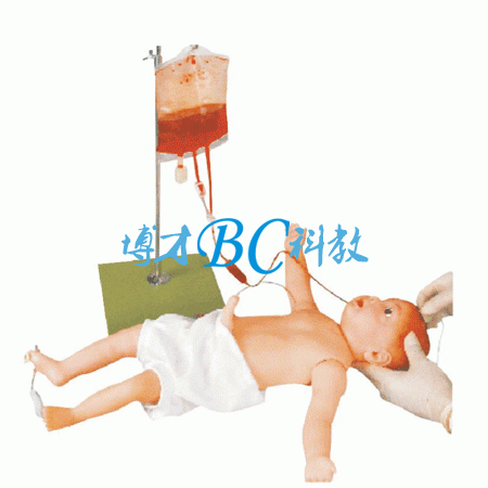高級嬰兒全身靜脈穿刺訓練模型