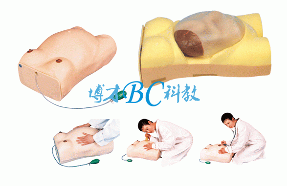 高級電腦孕婦檢查模型
