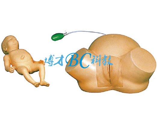 高級難產示教訓練模型
