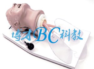 經(jīng)典氣管插管訓(xùn)練模型